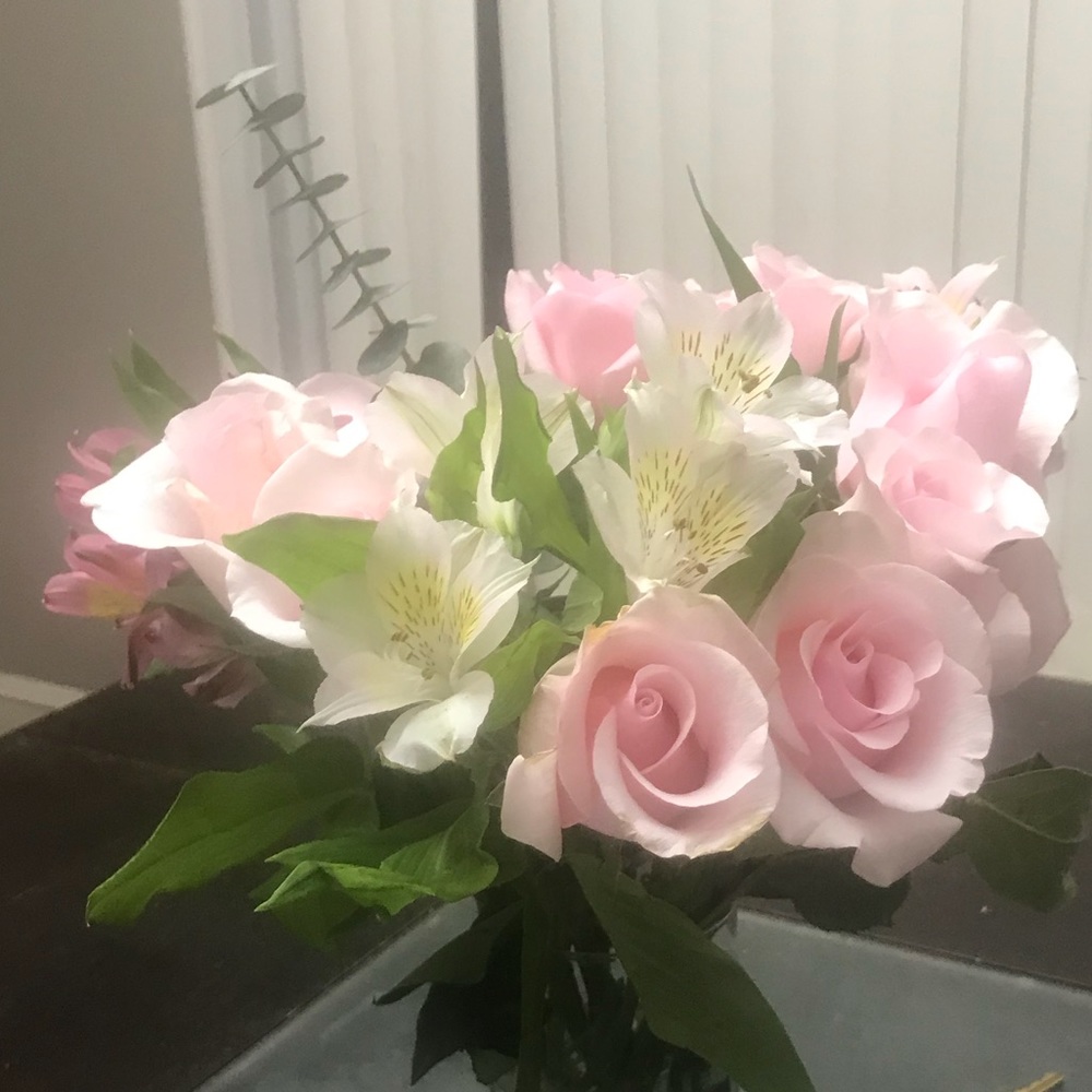 Meet your Posher, Karla